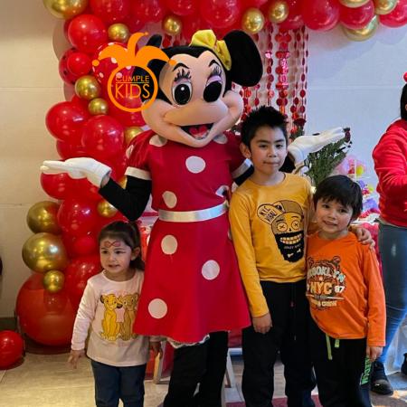 ARRIENDO DE  MINNIE MOUSE