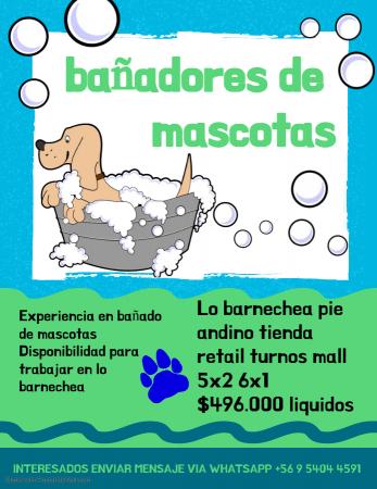 BAÑADORES DE MASCOTAS - LO BARNECHEA