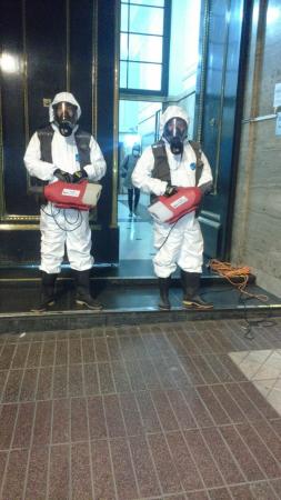 PLAGAS DE CHINCHES/FUMIGAR EN LAS CONDES