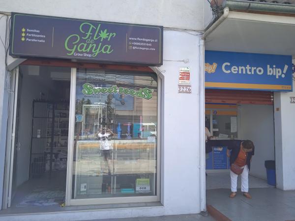 LOCAL GROW SHOP DERECHO A LLAVE