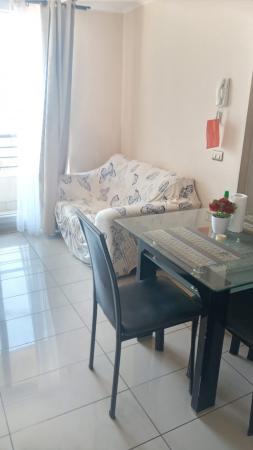 ARRIENDO DEPARTAMENTO AMOBLADO 