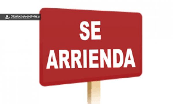 PIEZA  VARÓN SOLO ESTUDIE- TRABAJE.