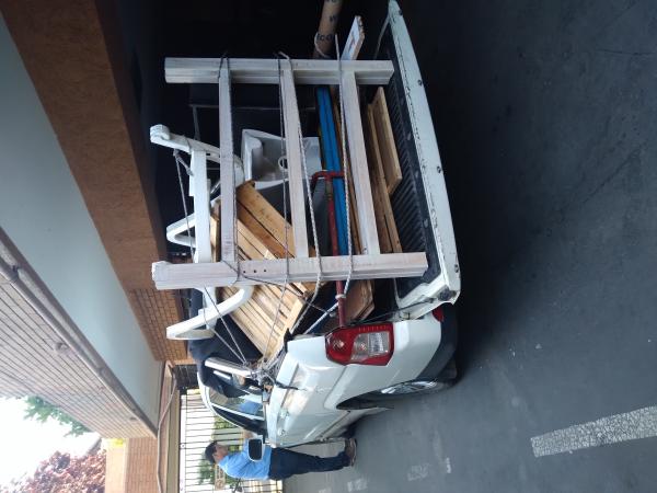 GRATIS ,RETIRO CACHUREOS 