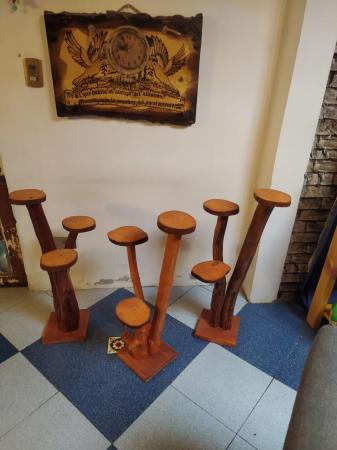 VENDO EXHIBIDORES DE PLANTAS