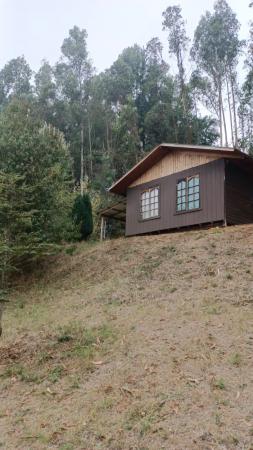 10.000 M2 DE TERRENO CON 3 CABAÑAS