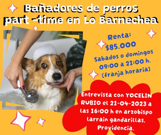 BAÑADORES CANINOS LO BANECHEA 85.000