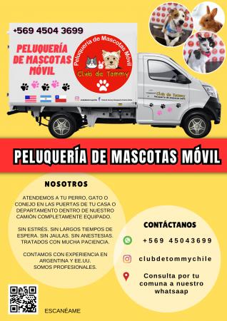 PELUQUERIA DE MASCOTAS MOVIL CLUB DE TOMMY