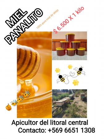 VENTA DE MIEL DE ABEJAS