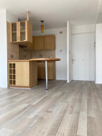 LINDO DEPTO CENTRICO 2 DORM REMODELADO