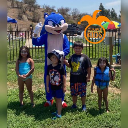 ARRIENDO DEL DIVERTIDO SONIC