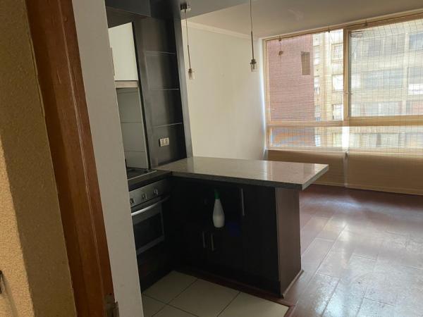 ARRIENDO PRECIOSO DEPARTAMENTO/SANTA ROSA STGO