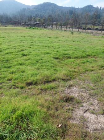 EXCELENTE PARCELA EN LAGO RAPEL, SECTOR EL DURAZNO
