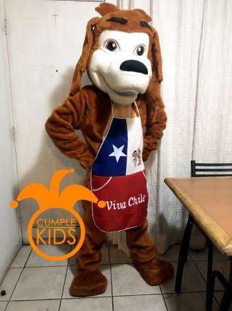 DIVERTIDO DESAYUNO CON EL PERRO CHOCOLO