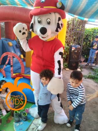 ARRIENDO DEL BOMBERITO DE PAW PATROL