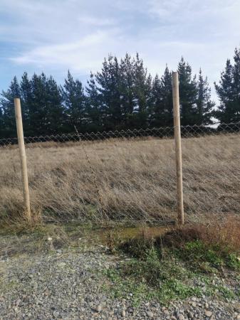 VENDE PARCELA DE 5.000 MTS2 EN COMUNA DE EL CARMEN