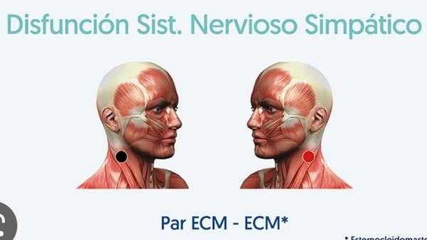 TERAPIA DE BIOMAGNETISMO.