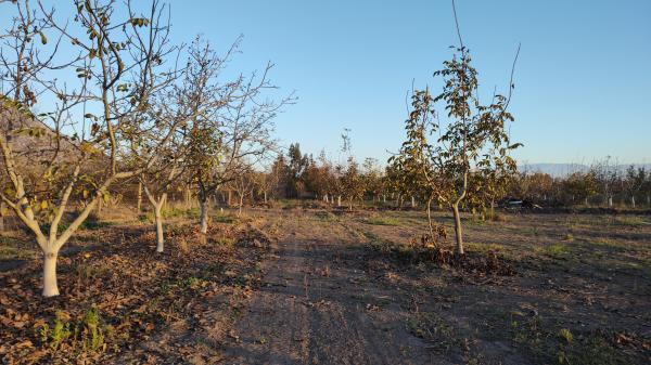 OPORTUNIDAD VENDO TERRENO DE AGRADO