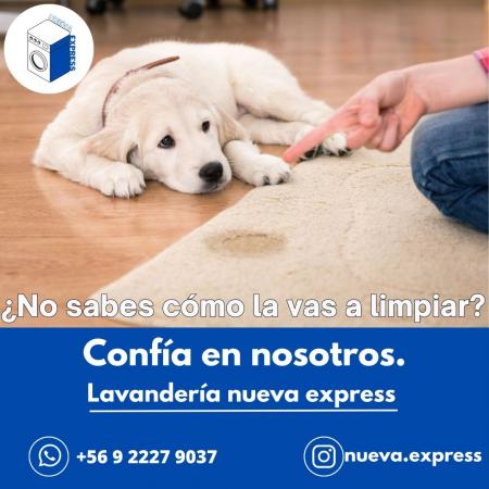 PLANTA INDUSTRIAL CONVENIOS EMPRESAS 