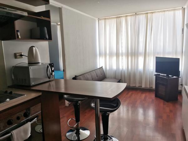 ARRIENDO DEPARTAMENTO AMOBLADO