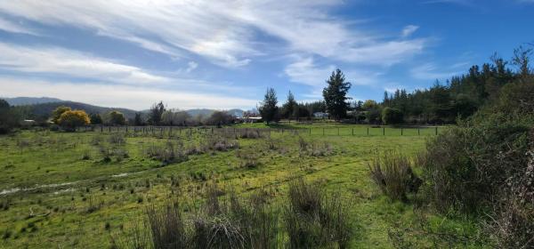 VENDEMOS TERRENO DE 3,4 HECTAREAS
