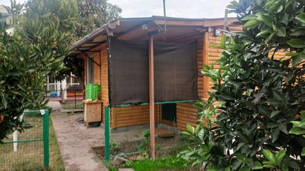 ARRIENDO CÓMODA CASITA INTERIOR EN MAIPÚ