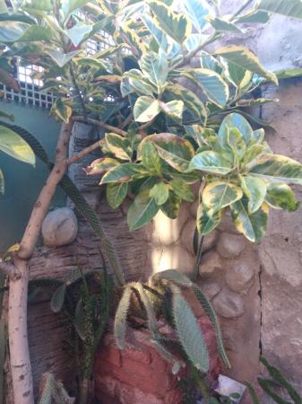 CASA GRANDE EXCELENTE PLUSVALÍA 