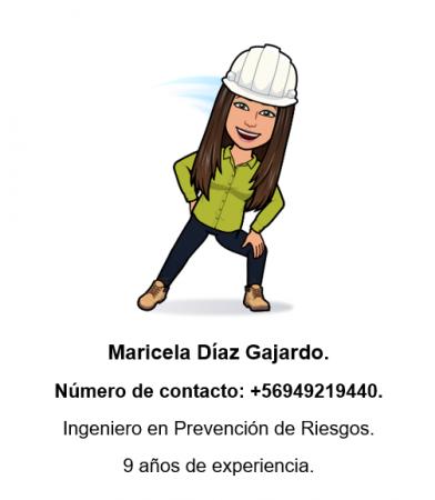 ASESORÍAS EN PREVENCIÓN DE RIESGOS