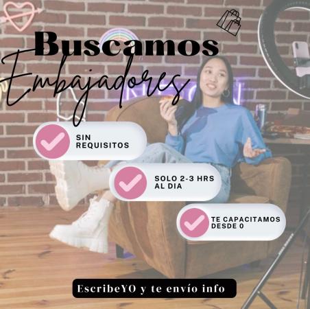 BUSCO EMPRENDEDORES