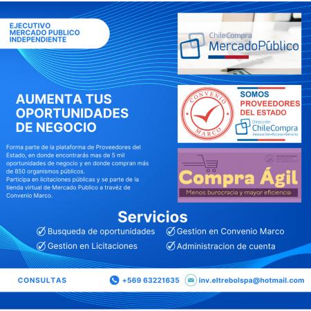 EJECUTIVO MERCADO PUBLICO INDEPENDIENTE