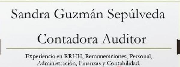 CONTADORA AUDITORA 