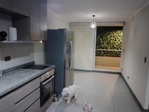 ARRIENDO DEPARTAMENTO 3°PISO, 1D+1B