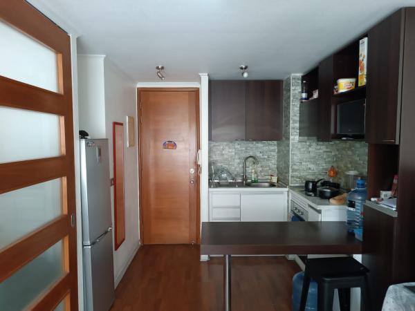 DEPARTAMENTO AMOBLADO EN ESTACION CENTRAL
