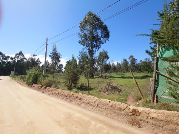 PARCELA DE AGRADO 5.000 M2 EN ALGARROBO 