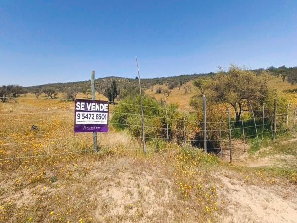 PARCELA 5250 MTS2 EN VENTA EN LIMACHE