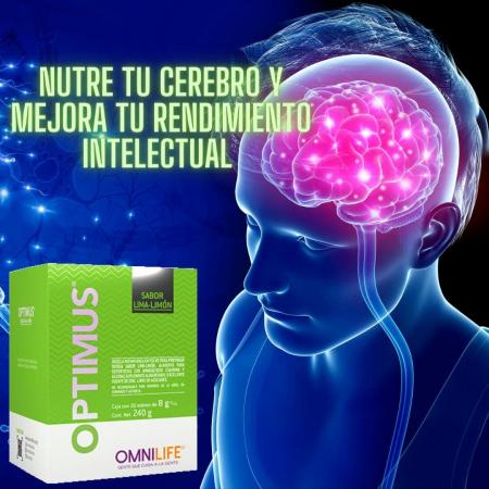 OPTIMUS MEMORIA ? AGILIZA AL MÁXIMO