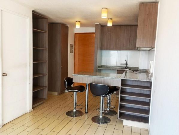ARRIENDO DPTO. 40 M2, SANTIAGO CENTRO