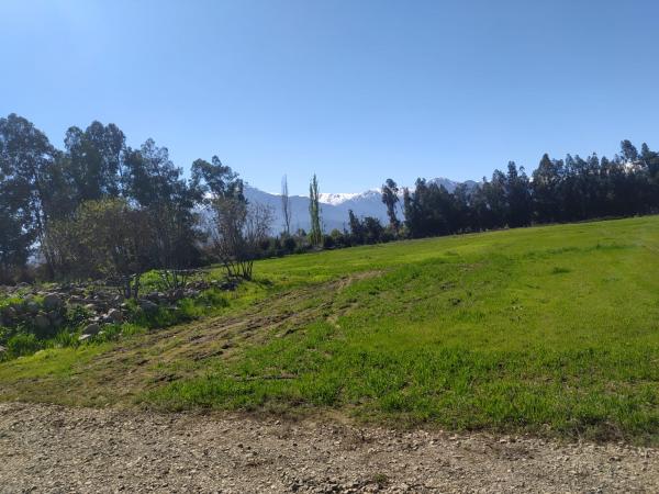 PARCELAS 5.000 MTS2 CODEGUA