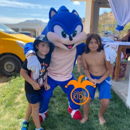 SERVICIO  SALUDO EXPRESS  DE (SONIC Y AMY ROSE)