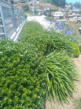 DISEÑO CONSTRUCCIÓN JARDINES 