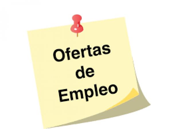 COORDINADOR/A DE OPERACIONES ANTOFAGASTA