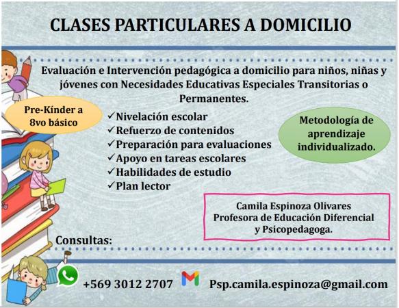 EDUCADORA DIFERENCIAL - CLASES PARTICULARES 