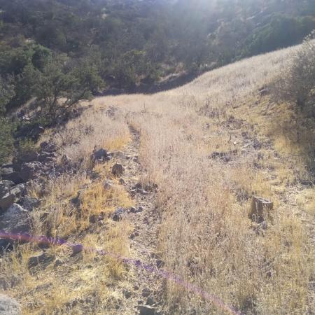 VENDO PARCELA 5000MTS