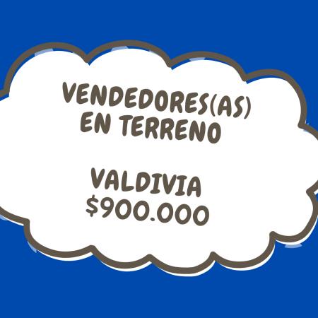 VENDEDORES(AS) EN TERRENO VALDIVIA
