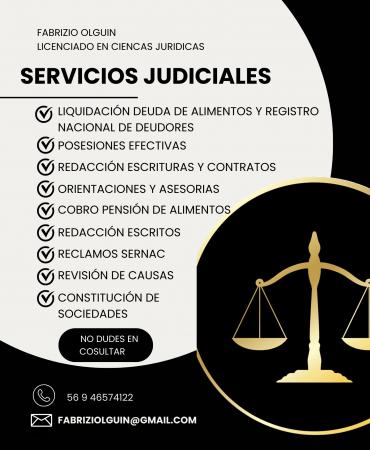 SERVICIOS JUDICIALES