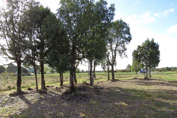 EXCELENTE TERRENO COMERCIAL 7.500M2 CHACAO-ANCUD