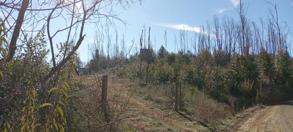 VENTA PARCELA SECTOR JUAN CHICO
