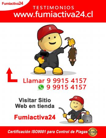 RATONES/CONTROL DE PLAGAS-24/7