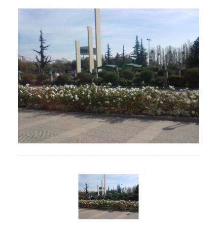 VENDO SEPULTURA PARQUE EL PRADO 