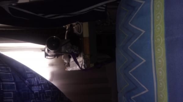 MAQUINA DE COSER INDUSTRIAL