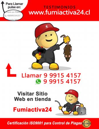 RATONES/CONTROL DE PLAGAS-24/7